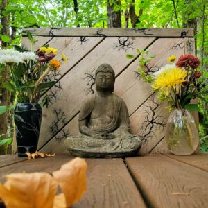 Plant Medicine Facilitation (Non-clinical)