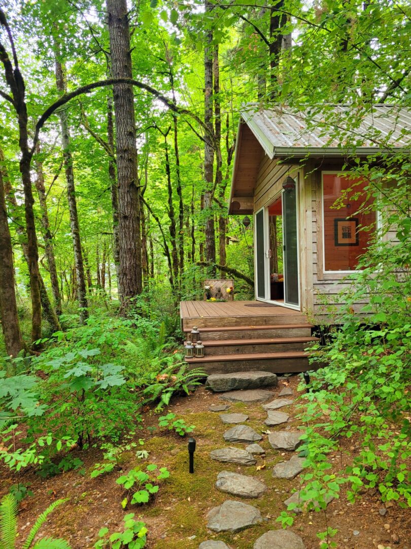 Plant Medicine Facilitation (Non-clinical) - Image 2